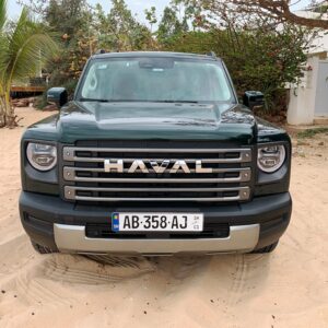 Haval Menglong Hi4 145 Pro (2024)
